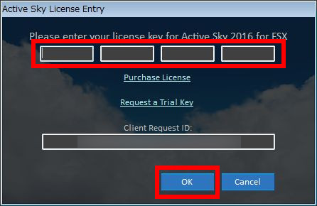 Active Sky Next Download Serial Key